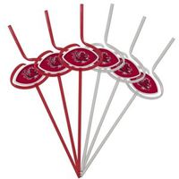 Pangea Brands South Carolina Gamecocks Team Sipper Straws