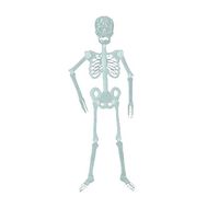 Libobo Halloween Props Luminous Human Skeleton Hanging Decoration Outdoor Party (C)