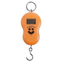 SCDDZC Portable Electronic Digital Balance Hanging Luggage Hook Scale Mini Pocket Fishing Scales (Color : B)