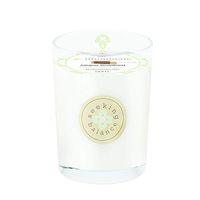 Root Candles Seeking Balance Beeswax Blend Candle, 8-Ounce, Illuminate: Juniper Rosewood