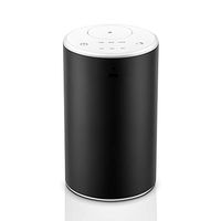 Waterless Wireless Car Diffuser for Essential Oils, Metal Diffuser Nebulizer Battery-Operated, 10ml Portable Aromatherapy Oil Diffuser with Timer Setting for Travel/Home/Office/Gifts