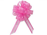 PRETTY PINK Sheer w/ Satin Edge4" - 18 loops- Organza Pull Bow (5 unit, 12 pack per unit.)