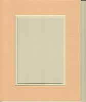16x20 Peahces and Cream Double Picture Mat, Bevel Cut for 11x14 Picture or Photo