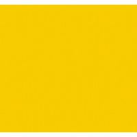 Tissue Paper Buttercup