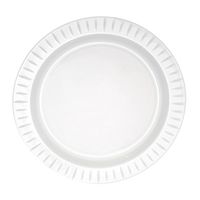 Party Essentials N561861 Elegance Hard Plastic Round Dinner Plates, 10.25", White (Case of 240)