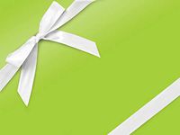 Solid Color - Lime Ultra Gloss 24"x417' Gift Wrap Half Ream Roll (1 roll) - Wraps -E6120H24