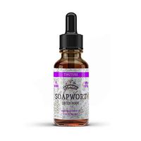 Red Soapwort Tincture, Organic Red Soapwort Extract (Saponaria officinalis) Herbal Supplement, Non-GMO in Cold-Pressed Organic Vegetable Glycerin, 700 mg, 2 oz (60 ml)
