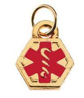 Gold Medical ID Mini Charm
