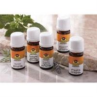 Single Note Essential Oil Trial Pack of 5 Scents by Lotus Touch, 2 ml Bottles - Scents: Lavender, Eucalyptus, Peppermint, Ylang Ylang, Tea Tree - 100% Pure Single-Note Essential Oil for Aromatherapy