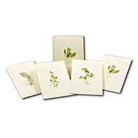 Earth Sky + Water - Herb Assortment Notecard Set - 8 Blank Cards with Envelopes (2 each of 4 styles)