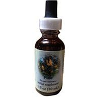 Pine Dropper, 0.25 oz by Flower Essence Services (Pack of 4)