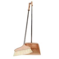 CAI - Dustpan and Brush Sets Cleaning The Kitchen Soft Antistatic PP Bristles Wear Resistant Light Weight Removable(C)