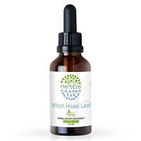 Witch Hazel Leaf B60 Alcohol-Free Herbal Extract Tincture, Super-Concentrated Organic Witch Hazel Leaf (Hamamelis virginiana) Dried Leaf (2 fl oz)