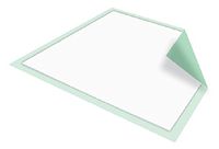 Underpad 30 X 30 Inch Moderate Absorbency, Disposable, McKesson - Case of 150