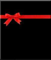 Solid Jet Black Gift Wrap Wrapping Paper-15ft Roll w. Gift Tags