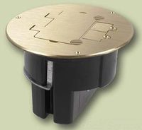 Walker Duplex Floor Box Cover Plate, Brass, 863DPCOM