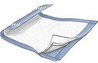 Wings Fluff/Polymer Underpads, 1/Case of 72