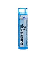 BOIRON USA - Equisetum Hyemale 30c [Health and Beauty]