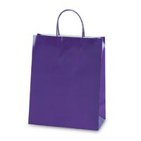 Paper Gift Bags 6ct 10.5"x12.5"x5.5" (Purple)