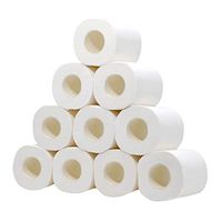 10 Rolls White Highly Absorbent Household Toilet Paper, Soft, Silky & Professional Series Premium 3-Ply Household Hand Towels Bath Tissue