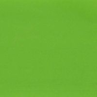 Lytio 100 Sheets Colored Tissue Paper Perfect for Gift Bags, Packing, Floral DIY Crafts 19" x 29" (Light Green)