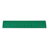 6 inch Plastic Ruler in Braille - Perfect for Students