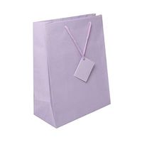 JAM PAPER Gift Bags with Rope Handles - Large - 10 x 13 x 5 - Lilac Purple Matte - Sold Individually