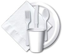 Creative Expressions Paper 9" Dinner Plate 24-Pack: White