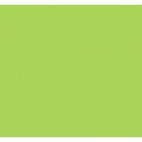 Tissue Paper Retro Green