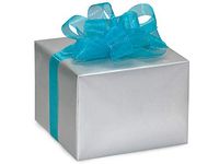 Gloss Color Gift Wrap Paper - Silver Gloss 24"x417' Solid Color Gift Wrap Counter Roll (1 roll) - Wraps -6550H24
