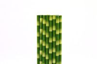 Bamboo Paper Straws (50)
