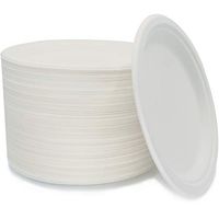 100 Biodegradable Compostable Eco Plates, 9 Inch Environmentally friendly Plant based Tree Free Disposable Sugarcane Plates, Great alternative to Paper
