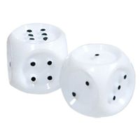 Tactile Brailled Dice Set of 2 Dice