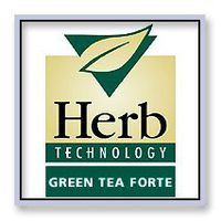 Green Tea Forte 50 Capsules