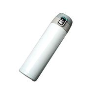 ZHENQ Travel Thermos Cup Portable Stainless Steel Flask Thermos Coffee Cup Cup Office Water Bottle Strong and Durable Warm Lasting (Color : B)