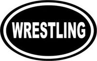 Chase Grace Studio Wrestling Wrestlers Vinyl Decal Sticker|White|Cars Trucks Vans SUV Laptops Tool Box Wall Art|5.5" X 3"|CGS274