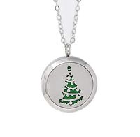 Aromatherapy Essential Oil Diffuser Stainless Steel Silver Magnetic Locket Pendant 2 sizes Chain Necklace, Refill Pads & Diffuser Bracelet in a gift bag & Free Ebook (Christmastreewithornaments)