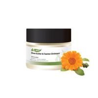 Teatree Ointment 50ml [Korean import]