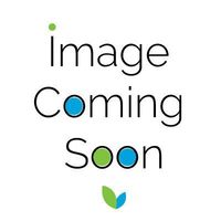 Ancient Secrets Aromatherapy Spirit Bottle Necklace Dragon-Cobalt