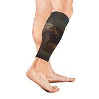 Calf Guard Sleeves A Lion Attacking A Horse Sports Calves Guards Sleeves for Running, Basketball, Baseball, Football