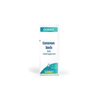 BOIRON USA - Common Birch/Betula Pubescens 2oz [Health and Beauty]