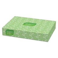 Facial Tissues, Flat Box, 30-100 Count Boxes per Carton (1 Carton)