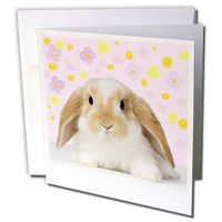 3dRose Rabbit - Greeting Cards, 6 x 6 inches, set of 6 (gc_4802_1)