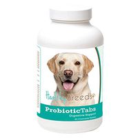 Healthy Breeds Dog Probiotic & Digestive Support Tablets for Labrador Retriever, White - Over 200 Breeds - for Gas Diarrhea & Constipation - 60 Chewable Tablets