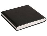 Panegy Slim Modern Cigarette Case Tobacco Storage Box Holder for 10 Regular Size Cigarette (Black)