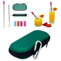 Executive Forest Metal Collapsible Straw with Keychain Carry Case and Cleaning Brush, Portable Telescopic Travel Drink Use, Stainless-Steel Tube, Hot and Cold Resistant Silicone Tip (Green)