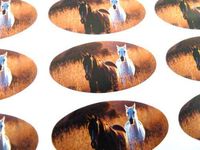 Minilabel Pack Of 48 Horse / Pony Seals , 40X20mm Oval Seal Labels, Stickers For Gift Wrapping, Presents, Envelopes, Bags Or Cards