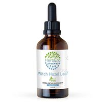 Witch Hazel Leaf A120 Alcohol Herbal Extract Tincture, Super-Concentrated Organic Witch Hazel Leaf (Hamamelis virginiana) Dried Leaf (4 fl oz)