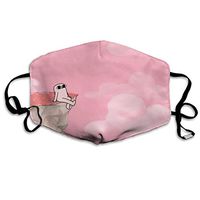 SSUJ7 Ketnipz On The Cliff Men Women Adjustable Earloop Mouth Guard Anti-Dust Washable Reusable Mouth Guard for Kids Teens Adults Anti Pollution,Anti-smog