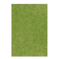 The Gift Wrap Company Solid Color Gift Tissue, 8 Sheet Pack-Moss Green
